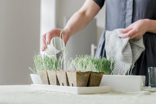 BRINGING MORE LIFE TO YOUR HOME AND YOUR DINNER PLATE - Linen Tales USA 