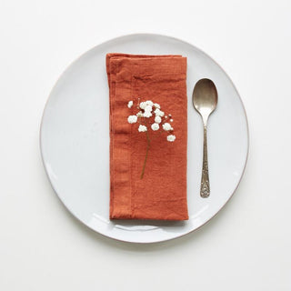 Baked Clay Linen Napkins Set of 2 - Linen Tales B2B 