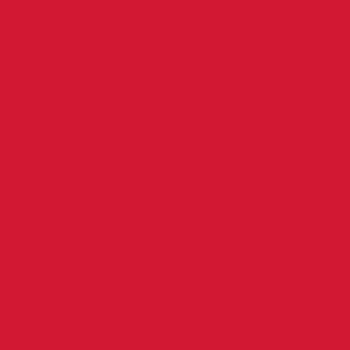 Flame Red Linen Fabric 150 g/m2 Mechanically Softened - Linen Tales B2B 